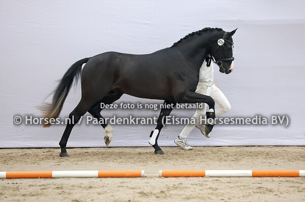 320 (Diamantenglanz x Vitalis)