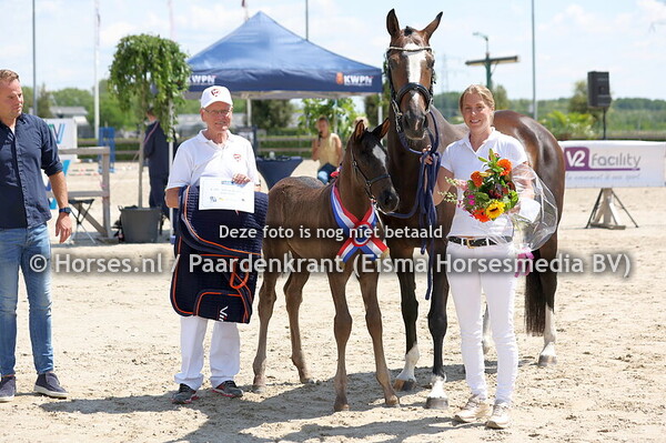 97  Viggowaard (Newport x Kyrona Waard v. Dark Pleasure)