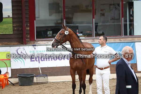 10 Sylventa Kieni (Etoulon x Kieveentum Kieni v. Gino)