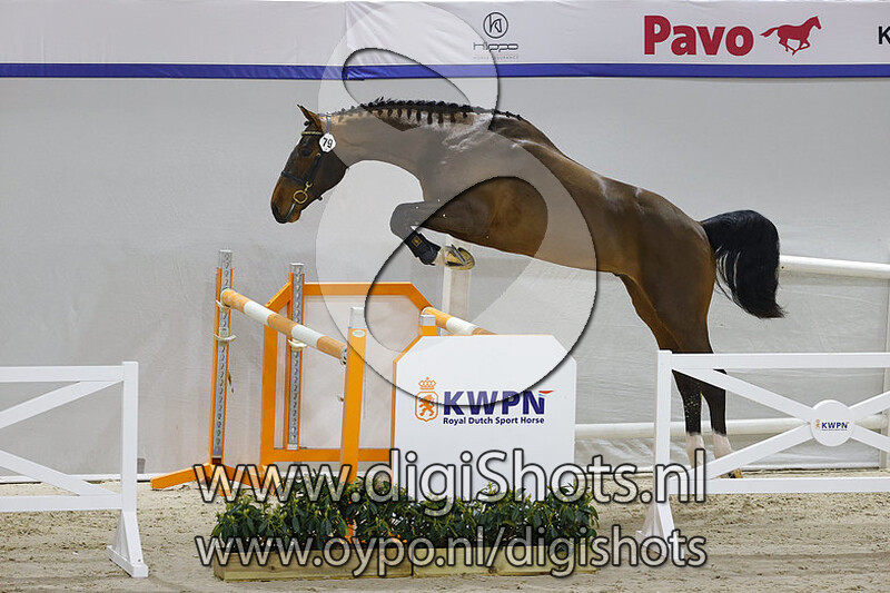 Niki Lauda YT v. Eldorado van de Zeshoek TN