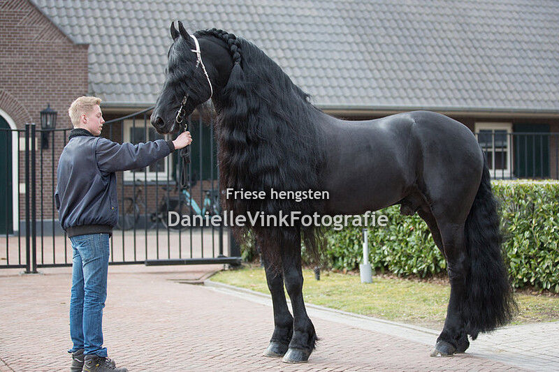 Nieuwe Heuvel Epke 474 02-04-2018