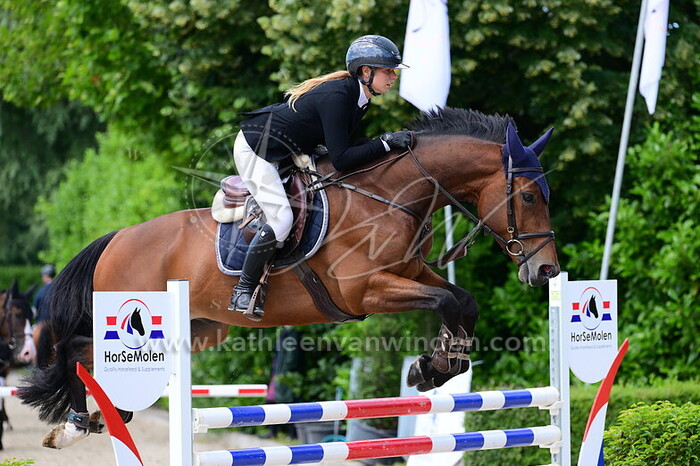 Sacha de Wit - Novio