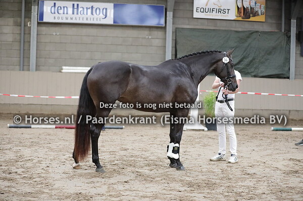 36 Marlieni K (Zonik x Wandarieni v. Rhodium) (1)