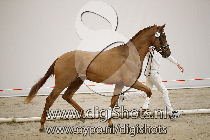 311 Lorenz v. Bordeaux