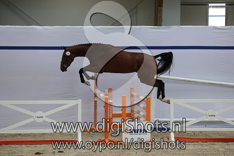 Serusa R v. Hardrock Z