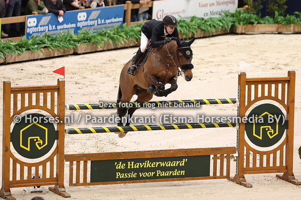 Horizontal (v. Casall) Maikel van der Vleuten