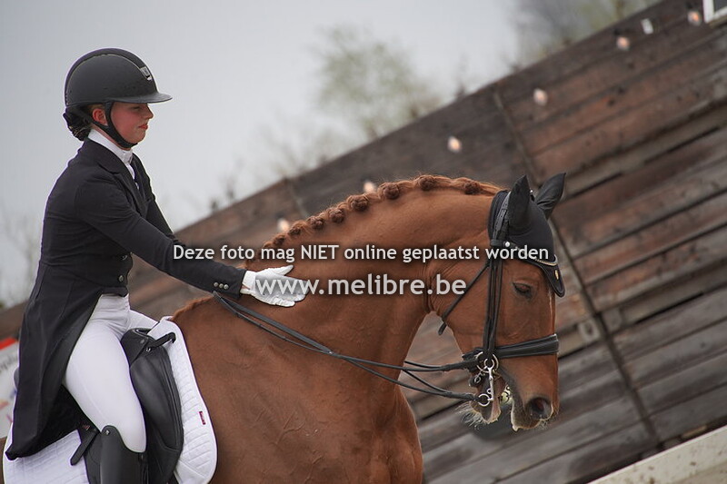 4. Young Riders Team