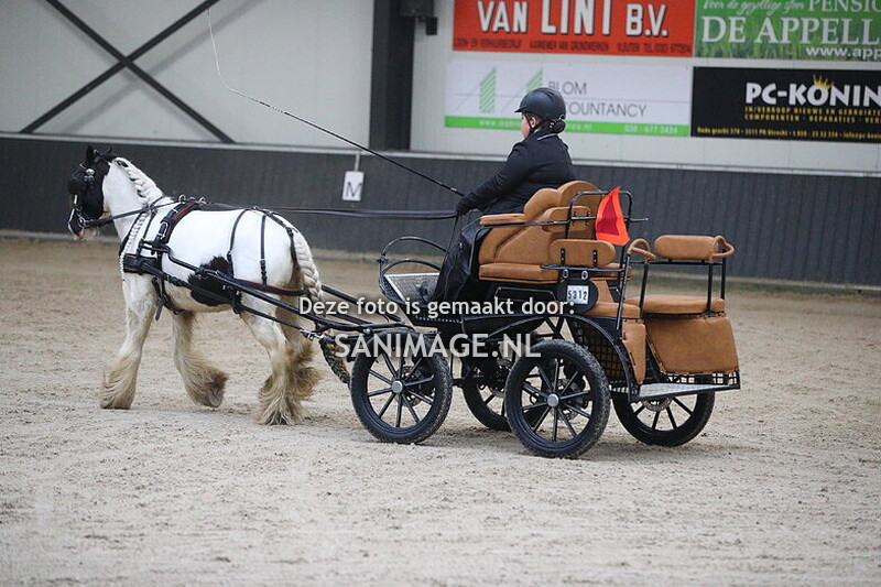 De Meern Mennen Dressuur 25-01-2025 Enkelspan B/L 11.15 - 13.00 uur