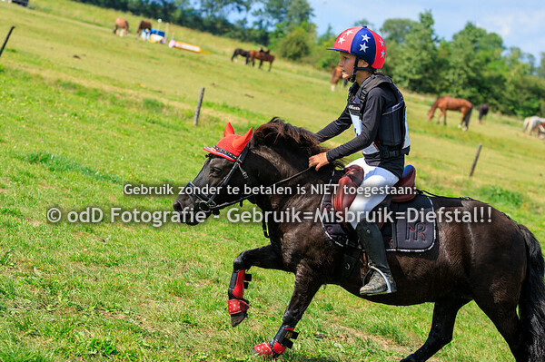 SGW Geestmerambacht Paard BB Pony B 11-08-24