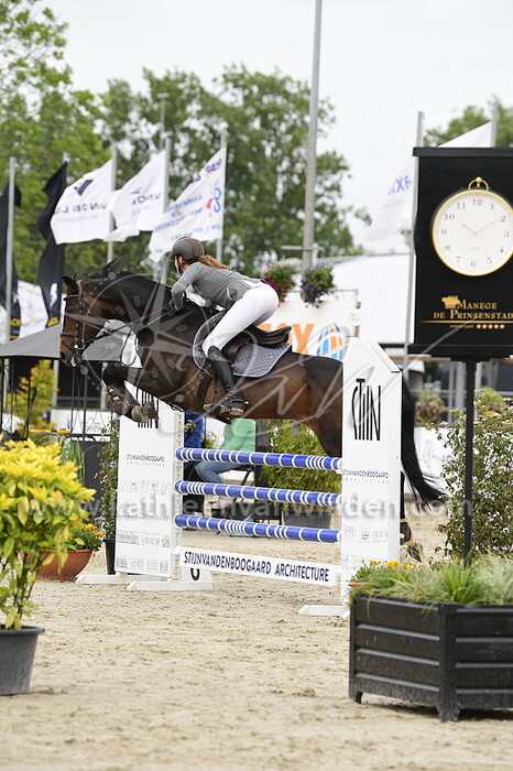 Stephanie van den Bosch - Steechy Z