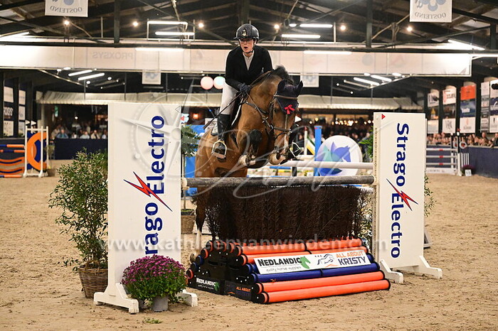 Sammy-jo Smit - Alpha's Dangerous Diamond