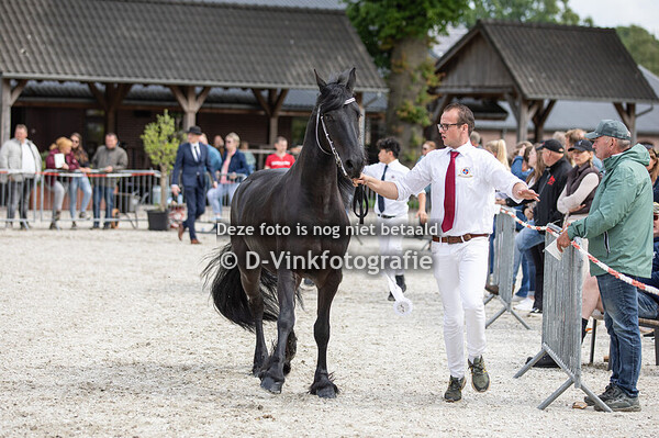 12. Tina vom Friesenhof Heydecke