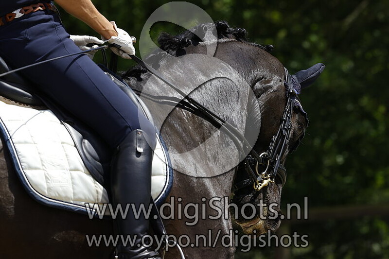 Guiness vd Wolfshoeve