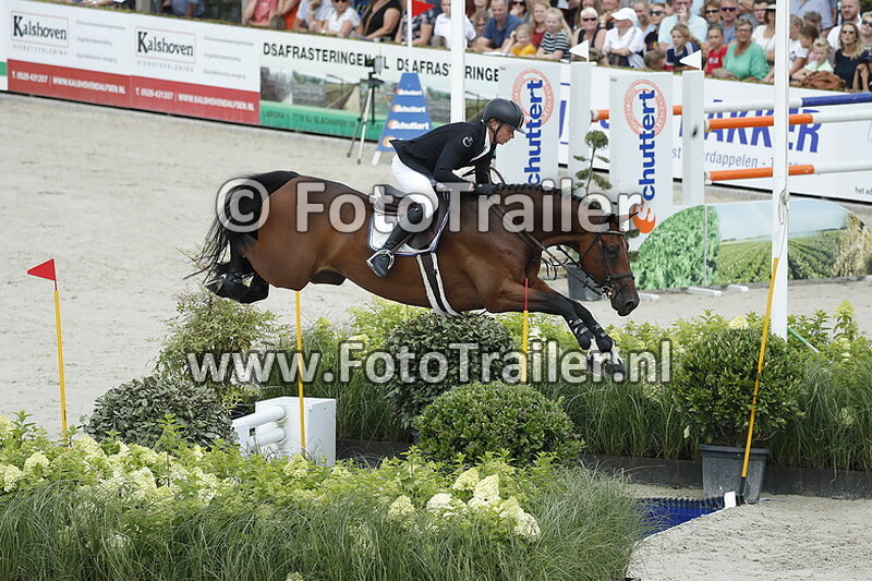 dennis van den brink