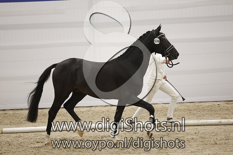 Passenger H v. Totilas - 536