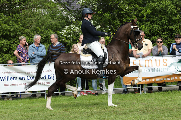 TP Show Onder het zadel