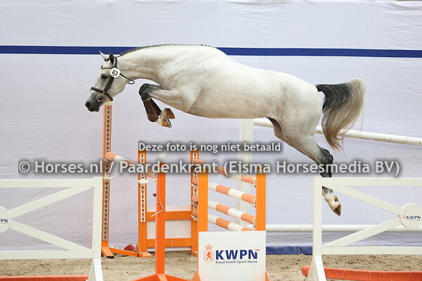 83 Sumosa (Mattias x Bumosa v. Up to Date)