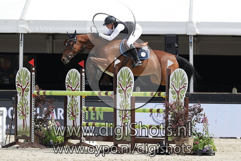 Marie Antoinette WsÂ 