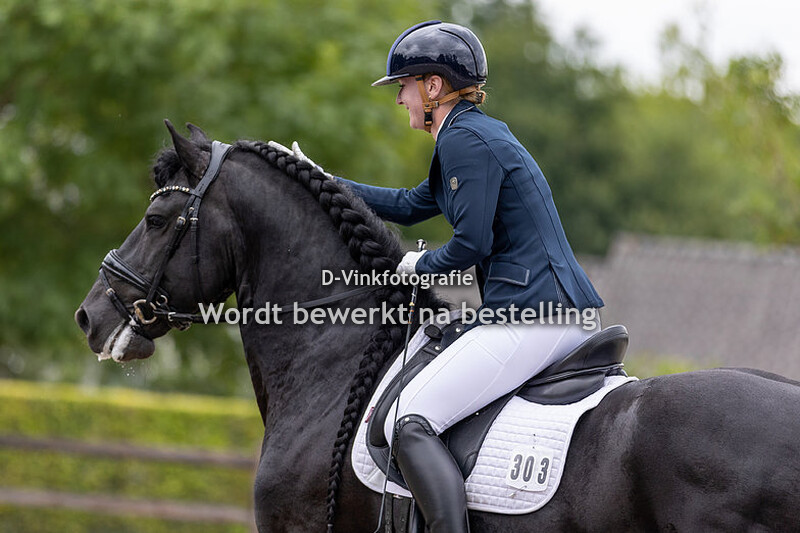Merel van Merkensteijn - Yzer fan Merkensteijn