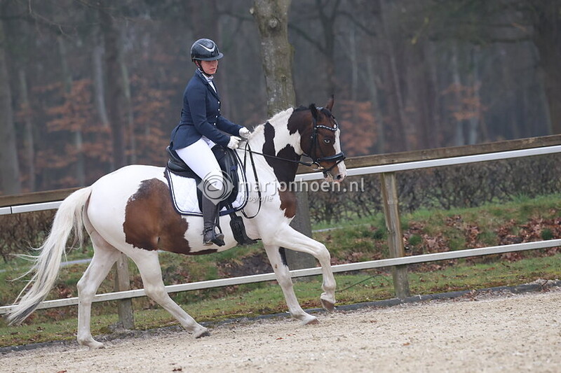 10_HAAKSBERGEN_DRESSUUR_09.00-11.15_23MRT2025