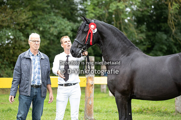 18. Tooske van Diphoorn