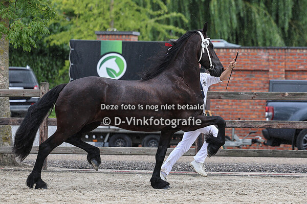 99. Keetje fan 't Brillehof