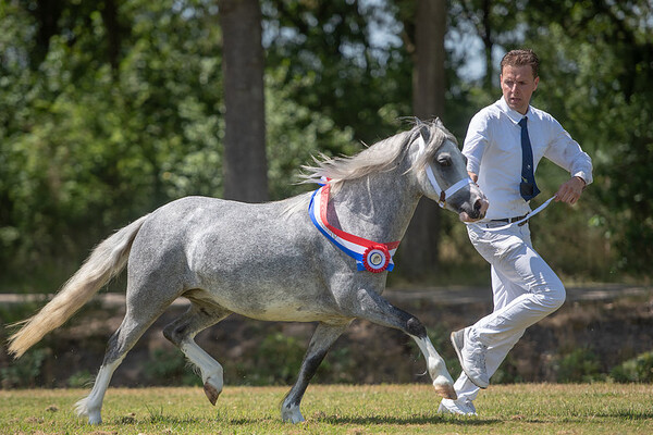 Regionale Keuring Assen