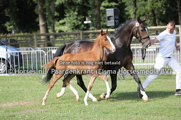 16 Vicky Victoria WB