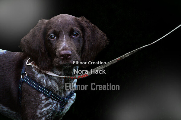 Vrijdag 4 september 2020