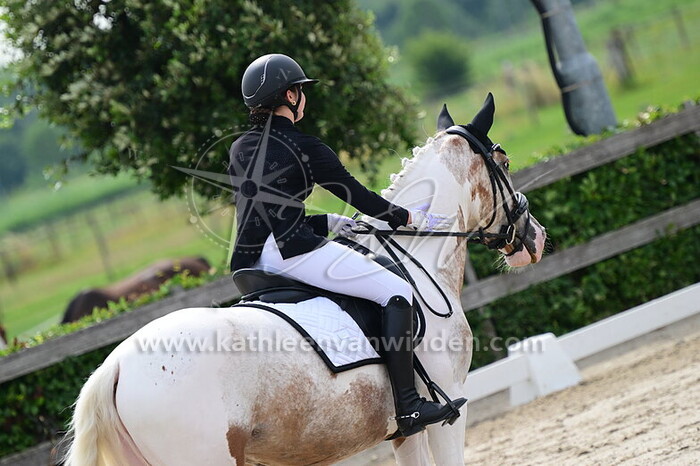 Filipina Rogalska - Bodine