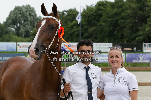 075 -OMINKA - ALMIRE HELIOTROOP VDM X MANNO L. TER SCHURE-BOLTJES, BASSE