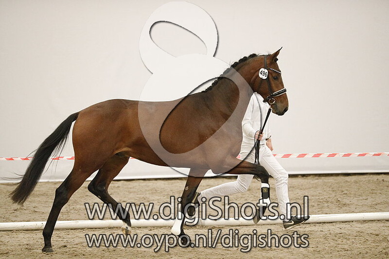 Make my Day v. Incognito