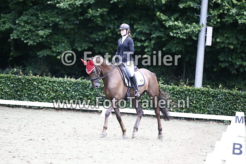 Geen nummer rood oornetje