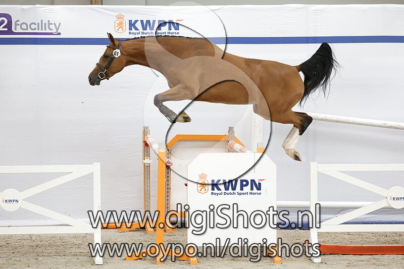 Puck v. Grandorado TN