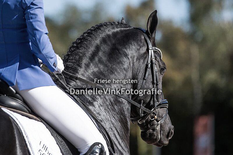 NK Friese paarden 2019 Ulbe 506