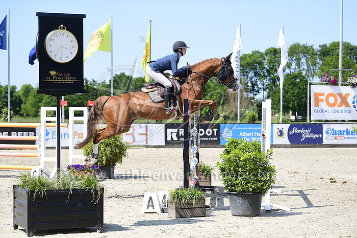 Susan Benedictus - John Doe VDP