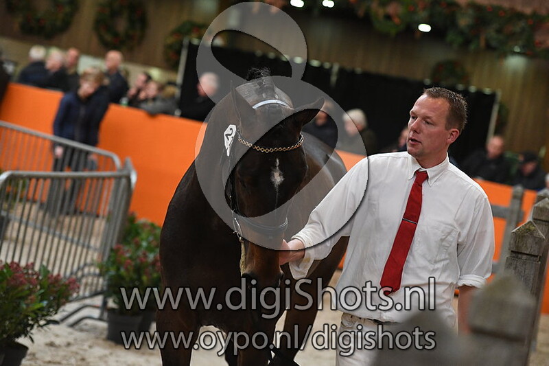 Maestro v. Zirocco Blue VDL