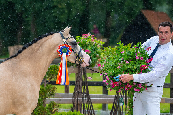 Regionale Keuring Hellendoorn
