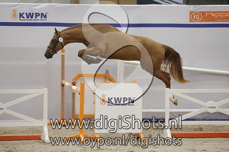 Ripley v. Conthargos - 042