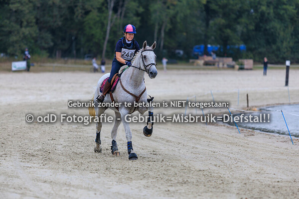 Eventing Ronostrand paard L 27-09-25
