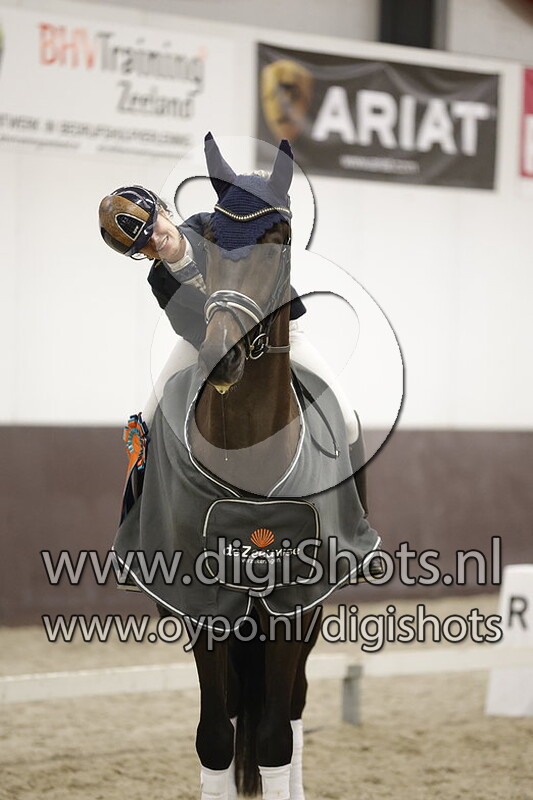 No Nonsense vd Wolfshoeve