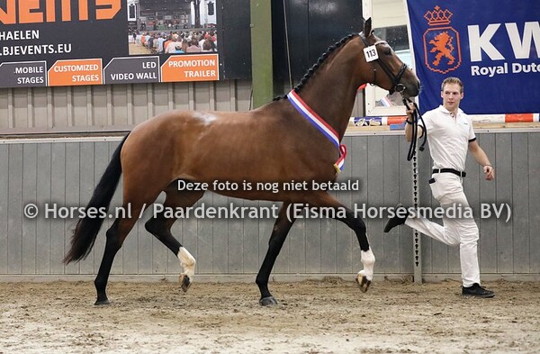 03-07-2021 Stamboekkeuring CK Panningen