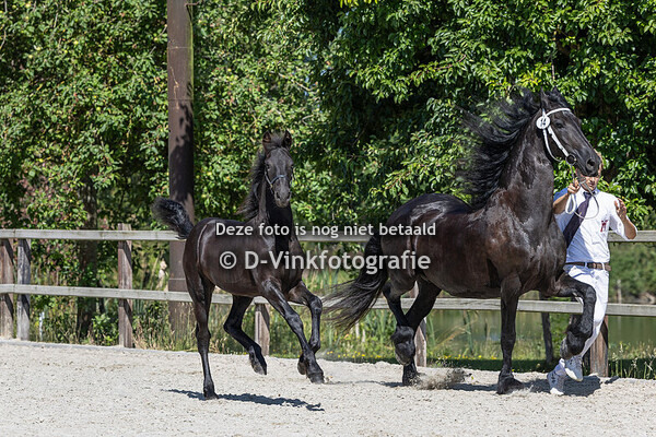 14. Evy fan de Poortershoek