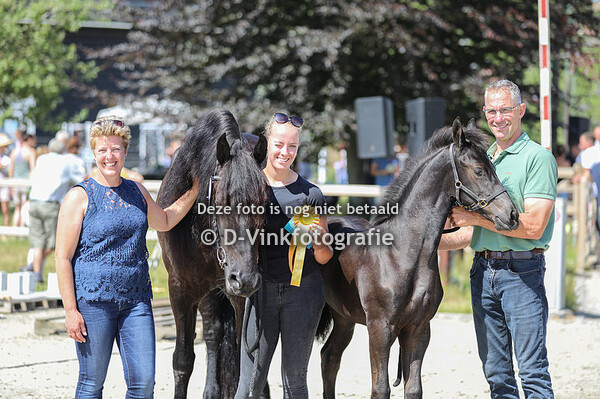 Rubriek 2a merrieveulens