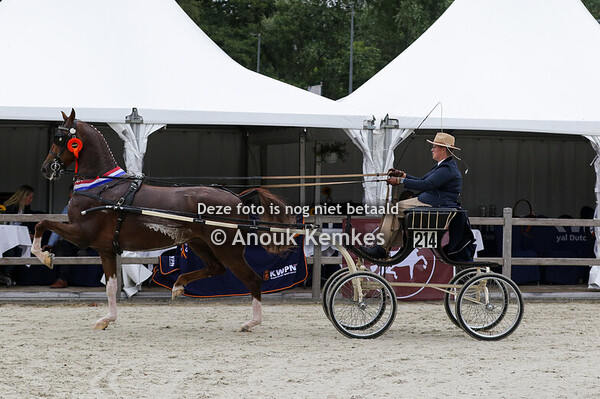 Kampioenschap Fokmerries TP Noord 