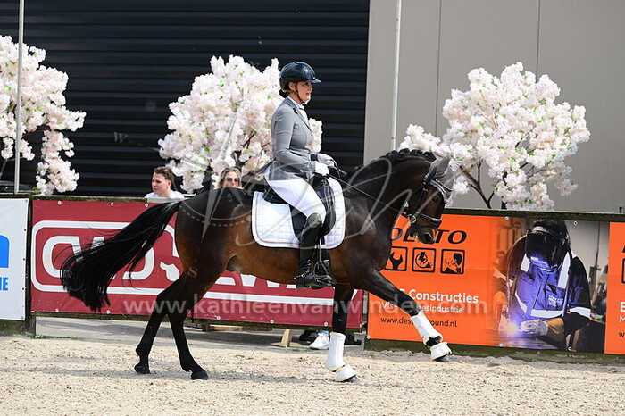 Mascha Borges - Navaro