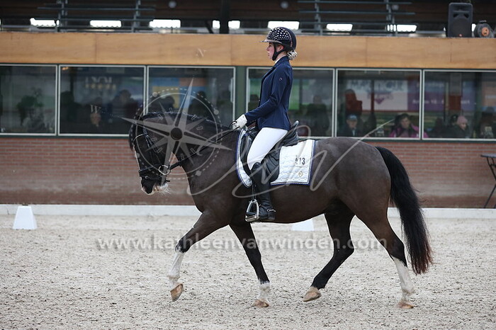 Sanne van den Hengel - Black Diamond's Macho