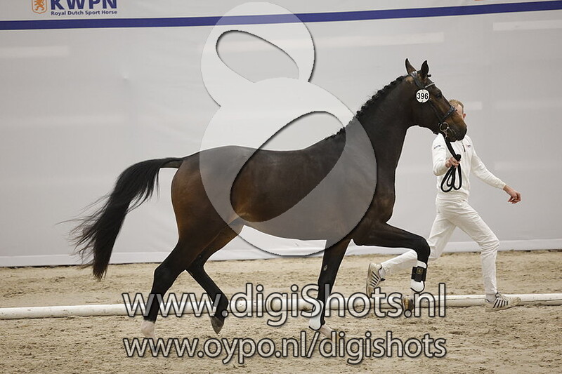 Ideal F.A.B. v. Ibiza - 396