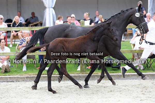 142 Verry Cherry SA (McLaren x Donna v. Dayano)