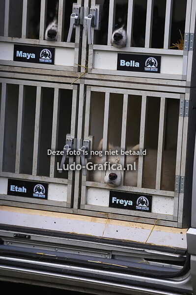 St. Hubertustrail 2025 Wiemesmeer